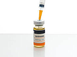 best steroids USA​