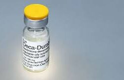 Decanandrolen 300mg/ml 25 ml D&H Denkall Anabolics Sales in USA
